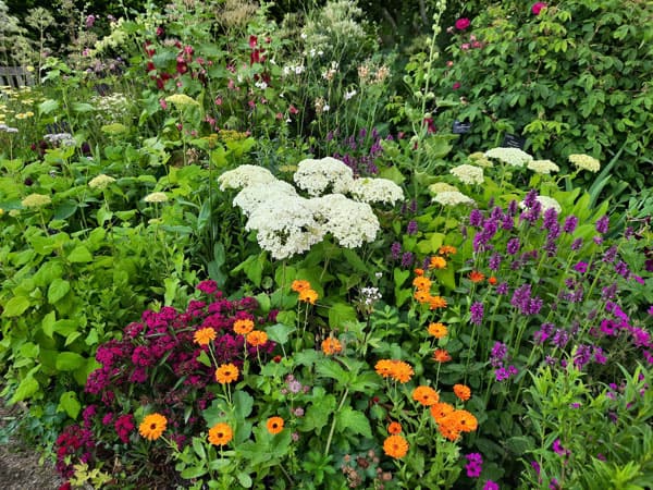 Beplantingsplan laten maken, Piekfijn Tuinontwerp
