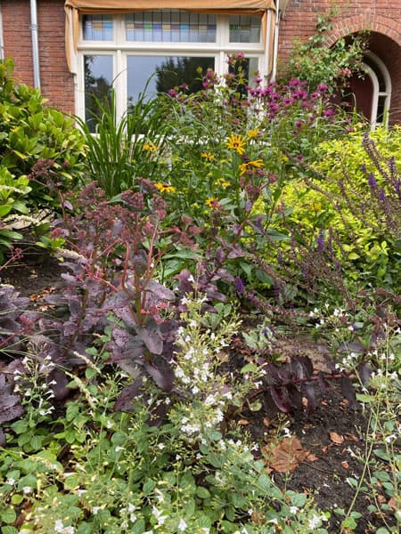 Vrolijke Bloementuin, Piekfijn tuinontwerp